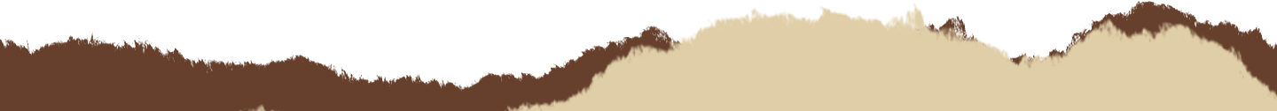 bottom-border4-xtremo