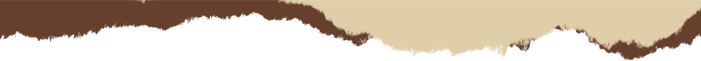 bottom-border5-xtremo